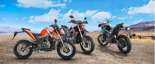 Imagen 18 de 24 de Moto Beta Zontes Zt 155 U1 Fi Abs Trail