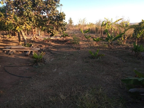 Imagem 5 de 9 de Chácara Com 2.500 Mt Bem Localizada ! Chamem No 61 995995549