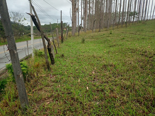 Imagem 8 de 14 de 16- 800m A Venda Em Arujá - Santa Isabel