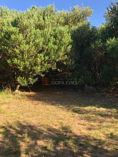 Escpectacular Vista!!, Se Vende Chacra Con Casa En Zona De Maldonado A 5 Km De Ruta 39