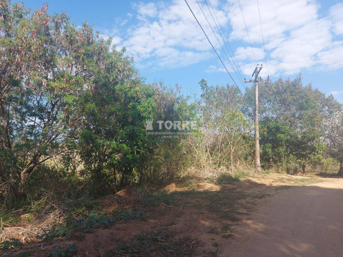 Imagem 11 de 15 de Terreno À Venda Em Sousas - Te004045