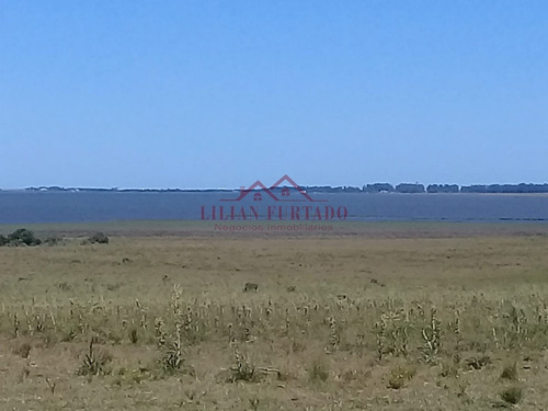 26 Has En Zona Laguna Jose Ignacio - Ref: 654