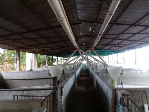 Imagen 6 de 14 de Finca En Tinaquillo . Edo Cojedes Glira