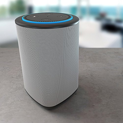 Altavoz Con Batería Portátil Para Alexa Echo Dot Gen 2