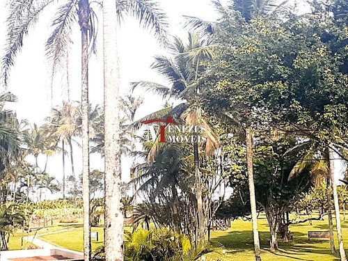 Imagem 6 de 28 de Apartamento Pé Na Areia Venda Em Riviera D São Loureço Ref. 438 - V438