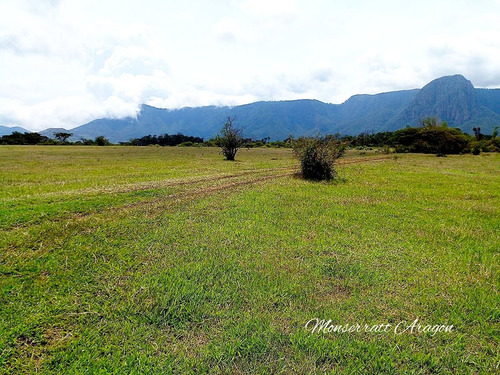 Increíble Terreno Con Manantial
