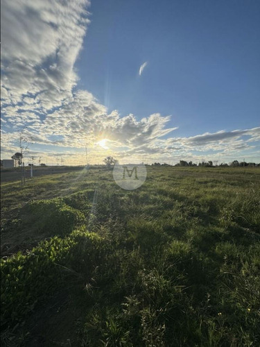 Venta Terreno Fase 3 En Olivos De Los Horneros