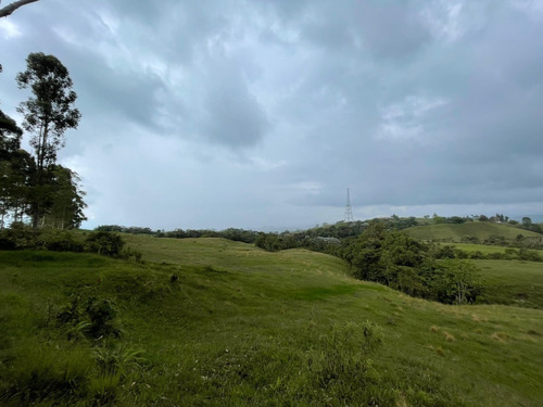 Finca En Venta Filandia Quindio