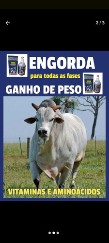 Engordan Para Bovinos