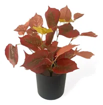Comprar Plantas Artificiales Bonsai [flores Artificiales] 30cm