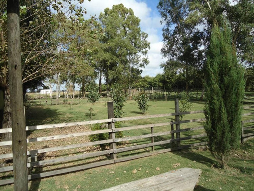 Imagen 9 de 18 de Venta De Chacra