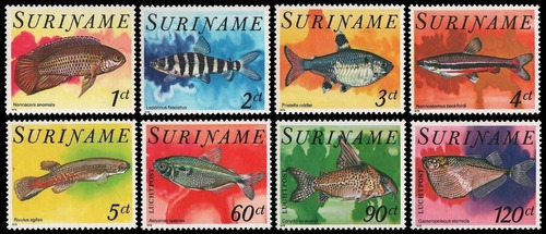 Fauna - Peces - Surinam 1978 - Serie Mint