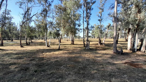 Terreno Al Río En Barrio Cerrado - Lote 19 De La Manzana  A  - Chacras Del Rincón