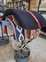 Comprar Basto Pampeano Completo!! Recados Completo Bastó Pampa