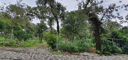 Terreno Urbano En Tepoztlán San Juan Tlacotenco / Tepoztlán - Ari-834-tu