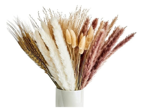 , Planta Boho De Pampas Grass, 40 Tallos, 45 Cm, Cola De ,