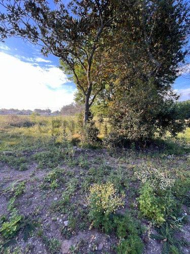 Venta O Permuta De Lote Zona Barrio Graduados De Tandil