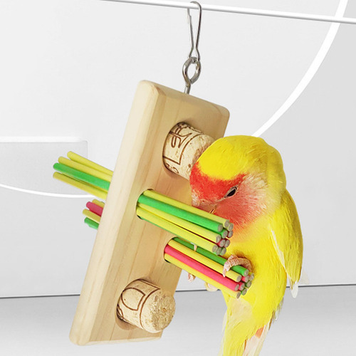3 Juguetes Para Masticar Loros, Columpio Para Loros,
