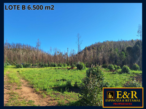 6000 M2 En Colico, Con Ester , Santa Juana (67673)