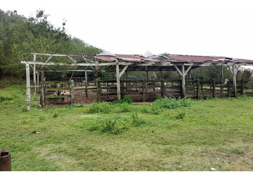 Venta Rancho Ganadero 103 Hectáreas Carretera Tuxpan -tampico
