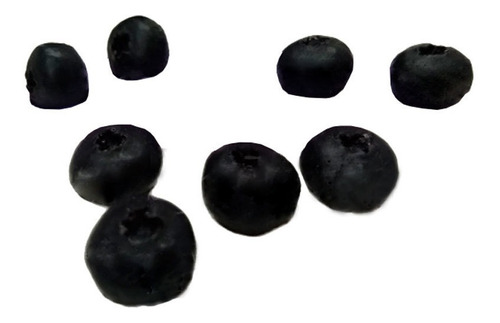 Molde Forma Silicone Blueberry/mirtilo 8cav