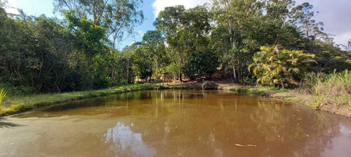 Imagem 2 de 14 de Maravilhoso Sítio Em Meio A Natureza De Biritiba Mirim!!!