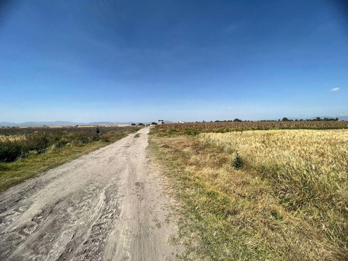 Terreno En Mineral De La Reforma, Pachuquilla, Hgo