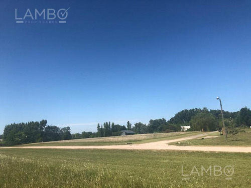 Imagen 14 de 20 de Venta Lote Manzanares La Ranita