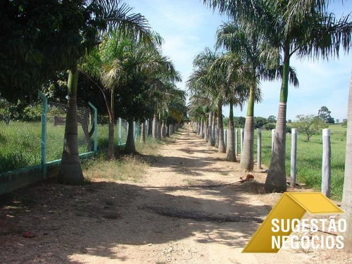 Imagem 13 de 15 de Fazenda Produtiva Região De Sorocaba Oportunidade - 2794