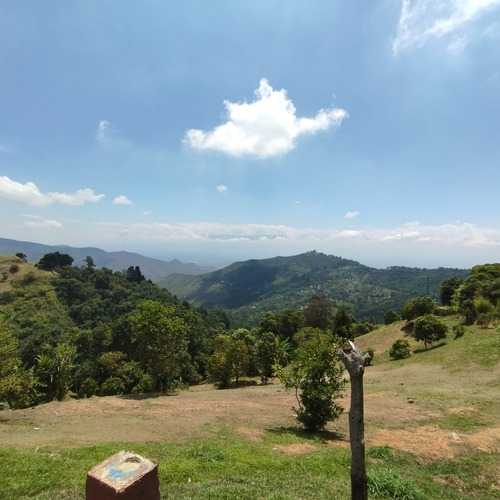 Venta Dapa Casa Finca Para Remodelar A Su Gusto, Sector Miravalle Yumbo Dapa Finca Lote Casa Campestre