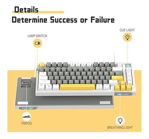 Dansher Porcentaje 60% Teclado Mecánico Para Juegos, Teclado