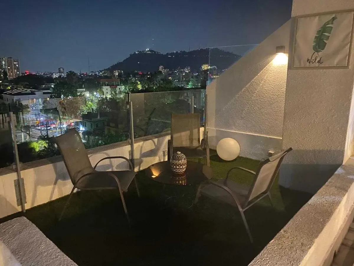 Imagen 4 de 24 de Departamento Provi Con Rooftop (115605)
