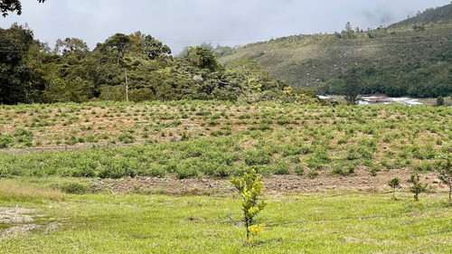 En. Se Vende Finca Agroproductiva Con Casa De Campo Bella