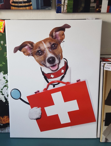 Cuadro Canvas Perro Doctor Veterinaria Funny Pet Dog Medico