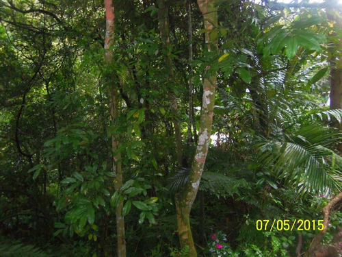 Imagem 7 de 10 de Terreno À Venda, Clube De Campo - Santo André/sp - 31946