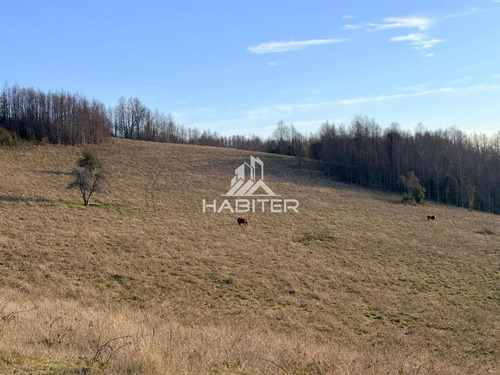 Cod40127 Agrícola En Venta En Cunco 15 Ha. Con Vertiente