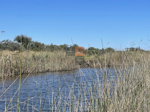 Chacra En Medellin - Jose Ignacio