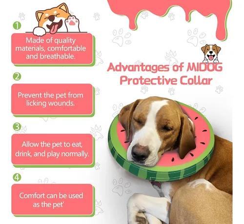 Collar De Cono De Perro Para Perros Pequeños Medianos Grande