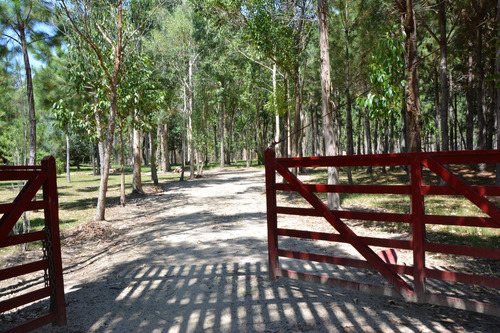 Venta De Chacra Marítima, Campo Y Casa Con 30 Has. Forestadas En Rocha, Uruguay