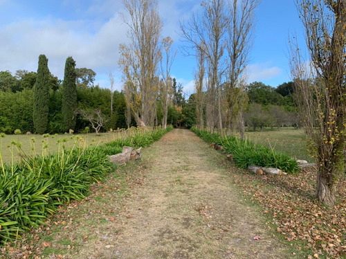 Imagen 11 de 30 de 51 Ha. Haras Madrigal En Zona Rural De Zarate