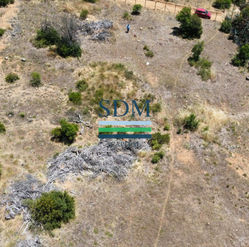 Venta Parcela 5000mts San Clemente