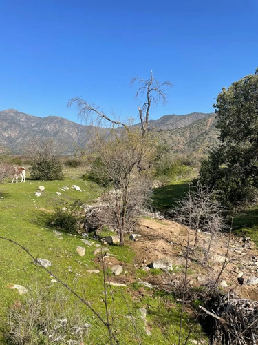Terreno 151 Ha Con Aguas Inscritas Los Guindos, Melipilla