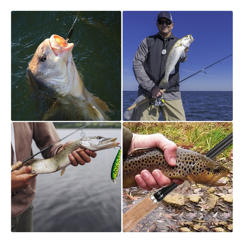 Vara De Pesca Para Pesca De Água Doce E Salgada De 4 Seções