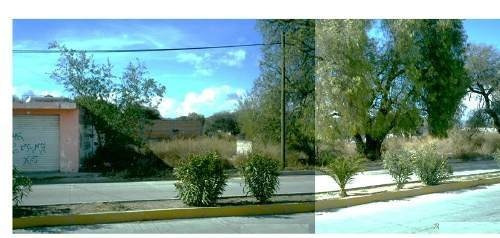 Imagen 1 de 6 de Se Vende Terreno Baldío , Zacatecas