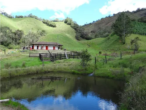 Finca En Venta La Unión Via Abejorral Antioquia. 83 Hectareas