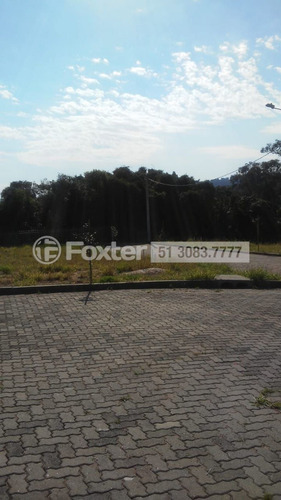 Imagem 5 de 21 de Terreno, 252 M², Campo Novo - 190385