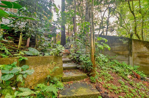 Imagem 26 de 30 de Terreno - Residencial - 147436