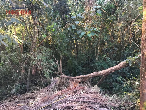 Imagem 4 de 5 de Terreno Residencial À Venda, Alpes De Caieiras, Caieiras. - Te0257