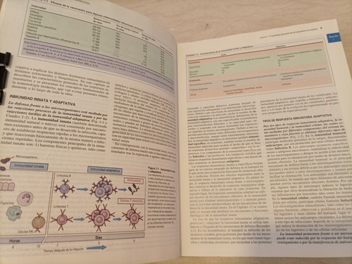 Libro. Inmunología Celular Y Molecular. 4a Ed. Abbas. (Usado)