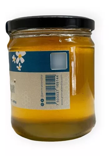 Miel de abeja pura - Real Yucatán 350 gr